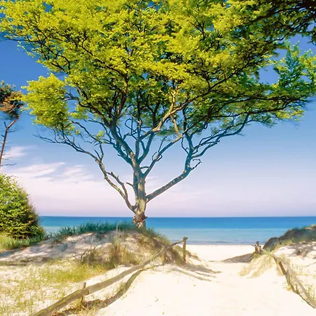 Haus Unterm Reet Rechts Prerow