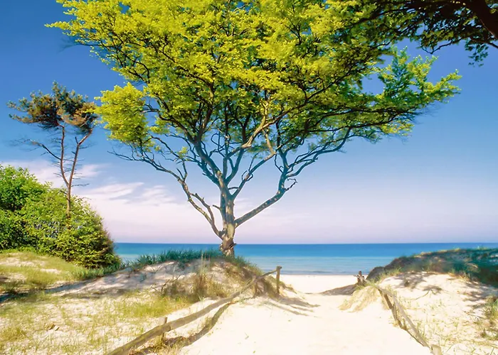 Haus Unterm Reet Rechts Prerow